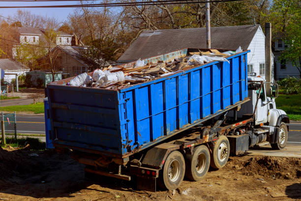 Yard Cleanup Services in Noel, MO
