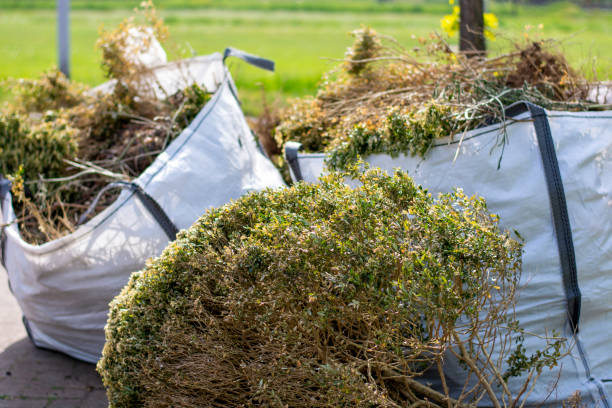 Best Construction Debris Removal  in Noel, MO